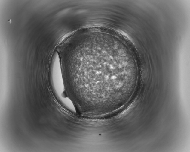 X0000086880921200704300934