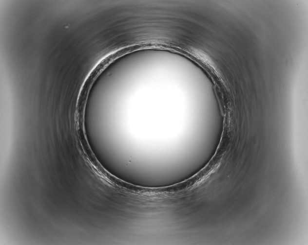 X0000086880924200704300934