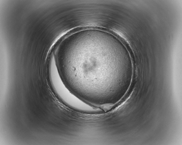 X0000086880925200704300934