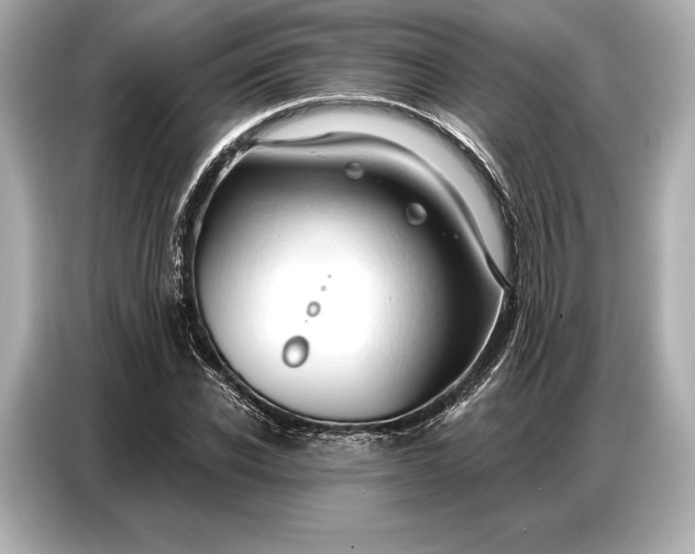 X0000086880926200704300934