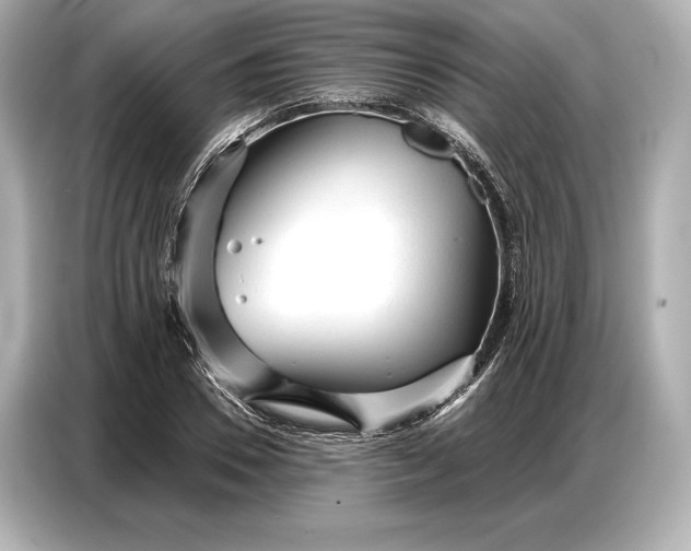 X0000086880930200704300934