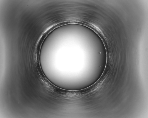 X0000086880931200704300934