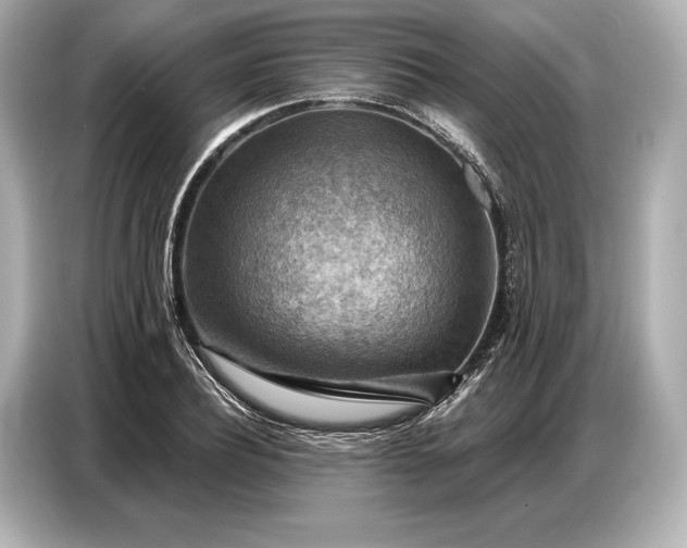 X0000086880932200704300934