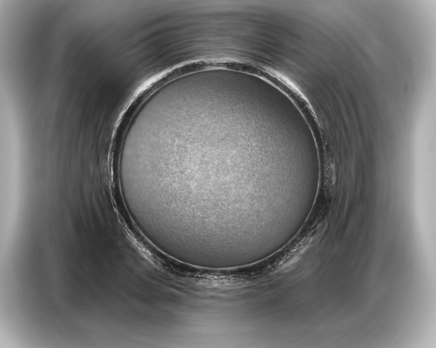 X0000086880935200704300934