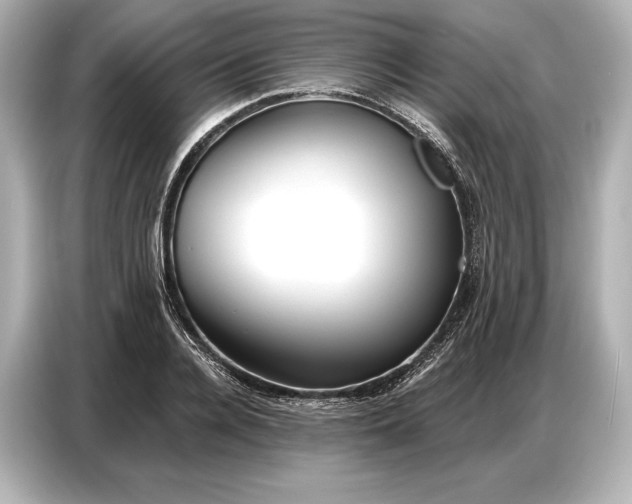 X0000086880936200704300934