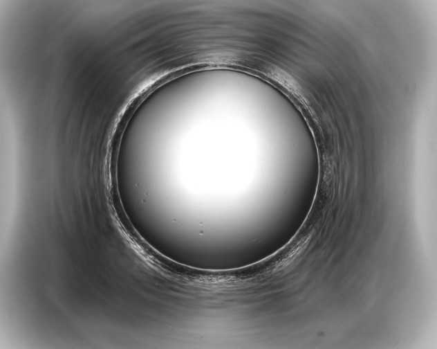 X0000086880939200704300934