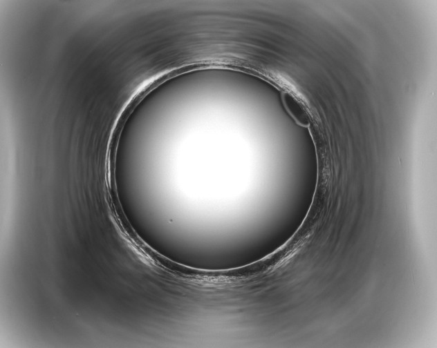 X0000086880940200704300934