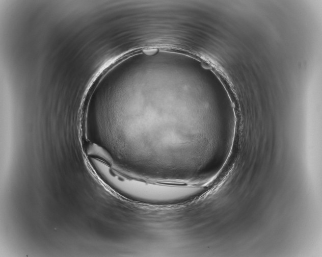 X0000086880941200704300934