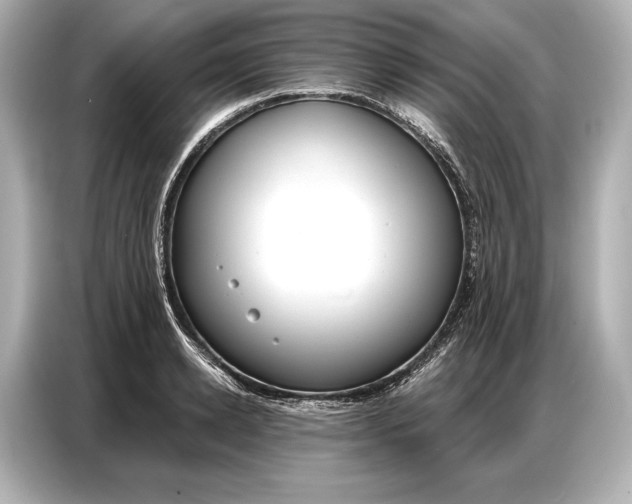 X0000086880942200704300934