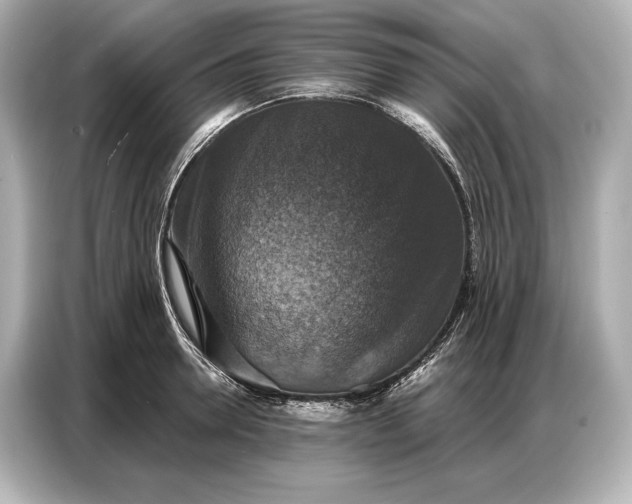 X0000086880946200704300934