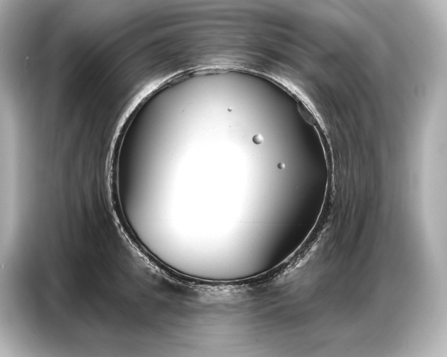 X0000086880949200704300934