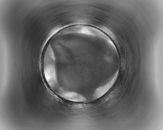 X0000086880950200704300934