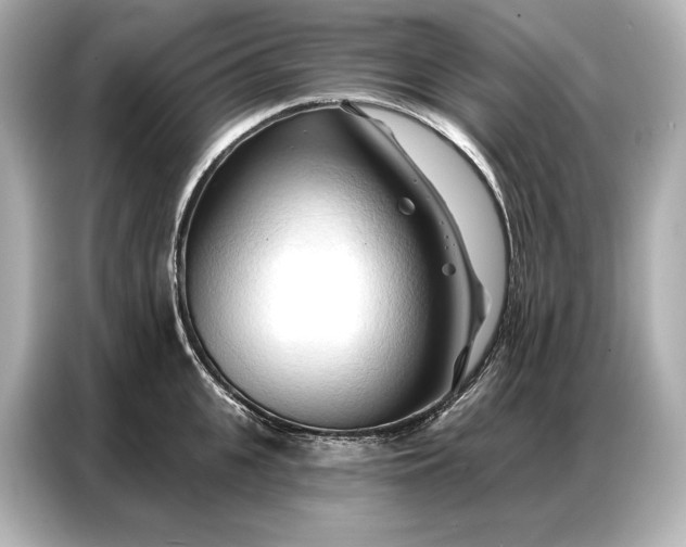 X0000086880951200704300934