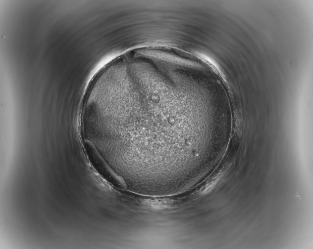 X0000086880952200704300934