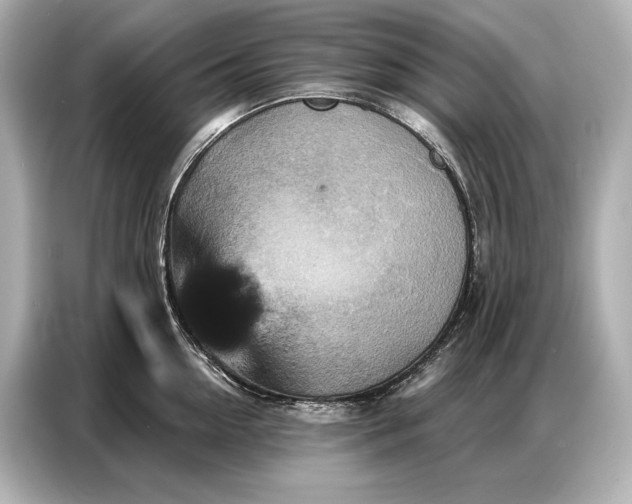 X0000086880954200704300934