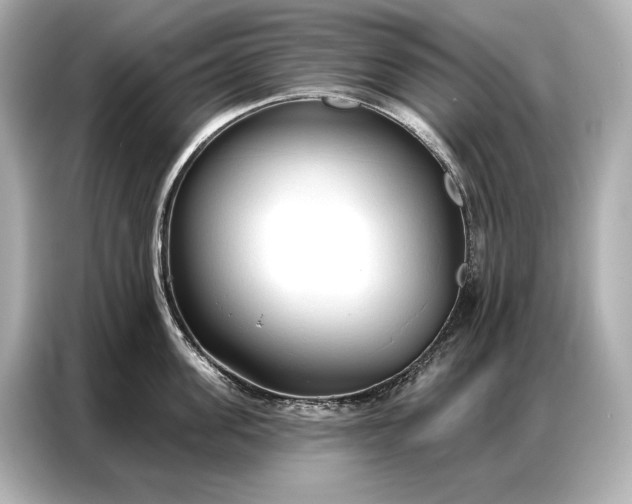 X0000086880955200704300934