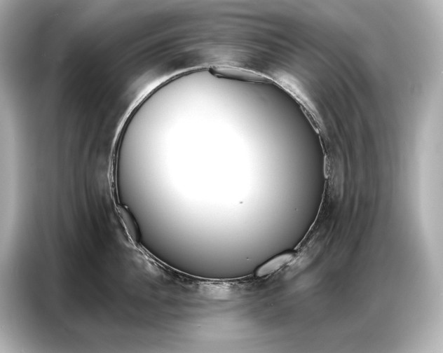 X0000086880956200704300934