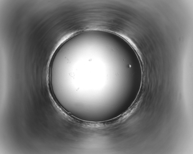 X0000086880957200704300934