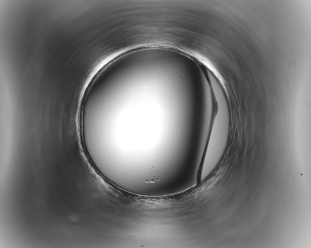 X0000086880959200704300934