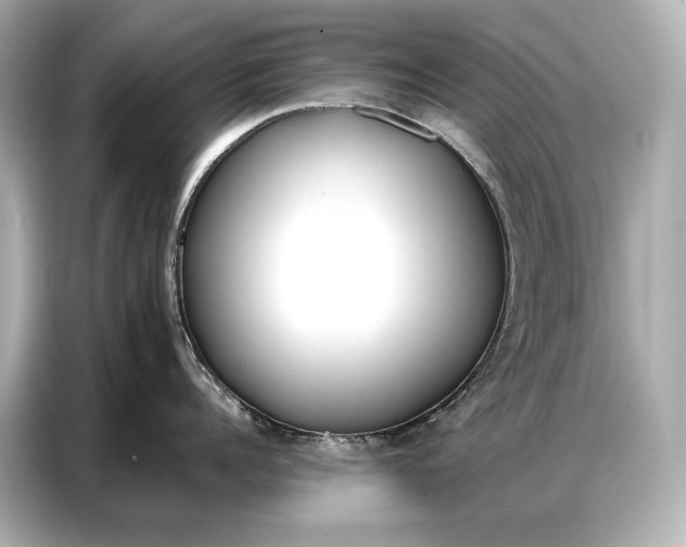 X0000086880960200704300934