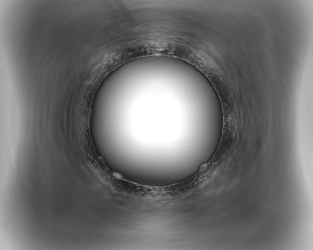 X0000086880961200704300934