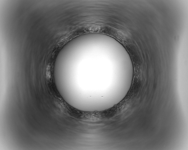 X0000086880962200704300934