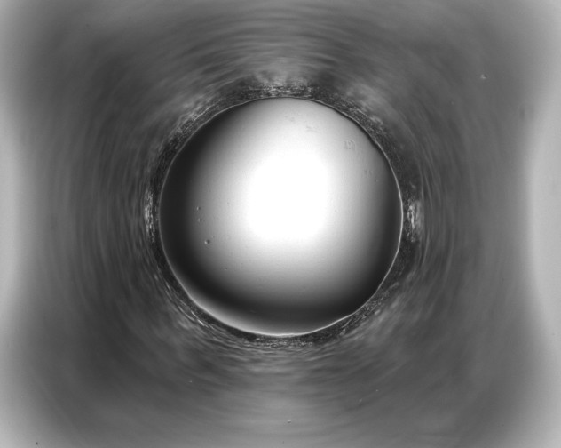 X0000086880963200704300934