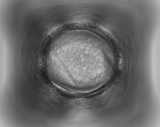 X0000086880966200704300933