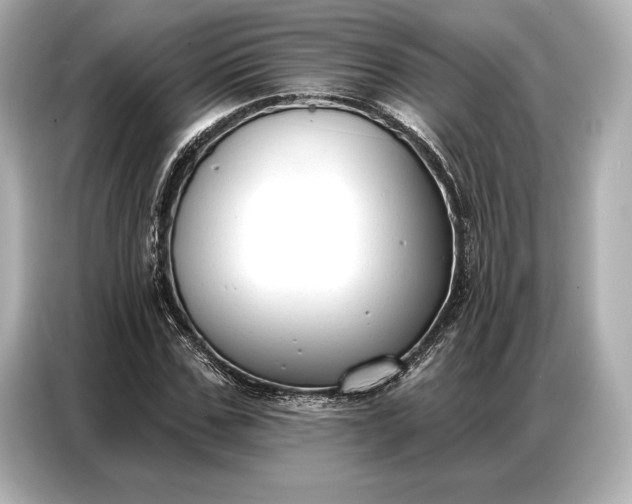 X0000086880971200704300933