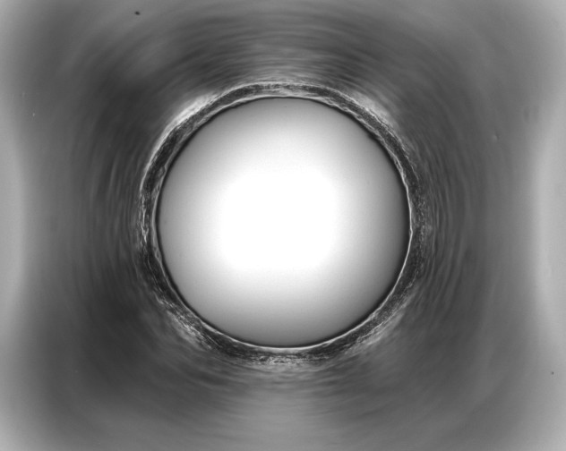 X0000086880974200704300933