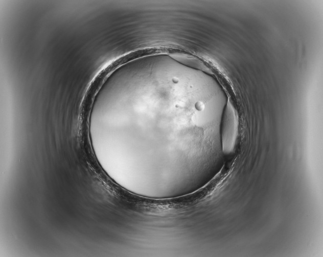 X0000086880975200704300933