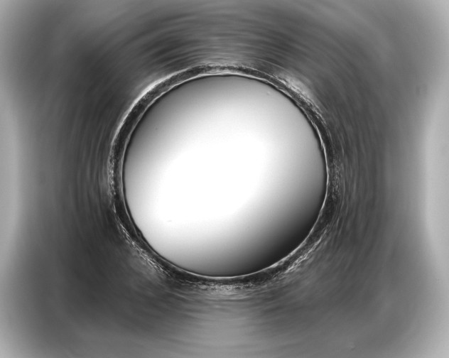 X0000086880976200704300933