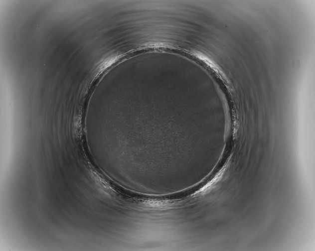 X0000086880977200704300933