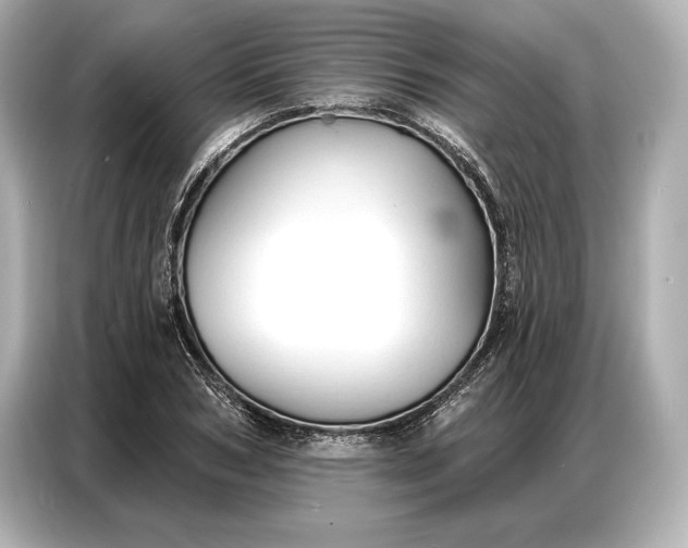 X0000086880978200704300933