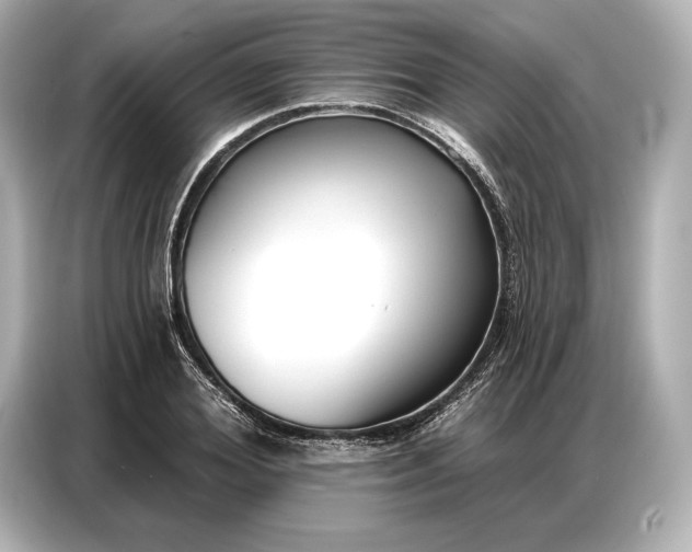 X0000086880980200704300933