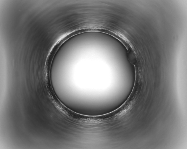 X0000086880981200704300933