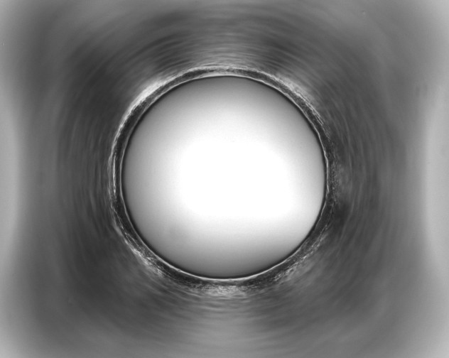 X0000086880982200704300933