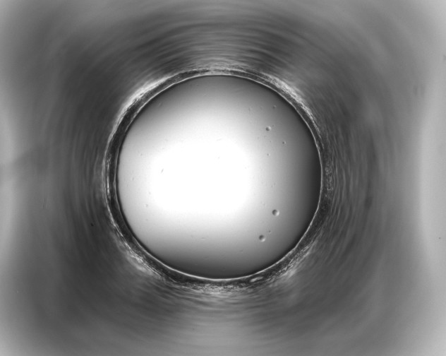 X0000086880987200704300933