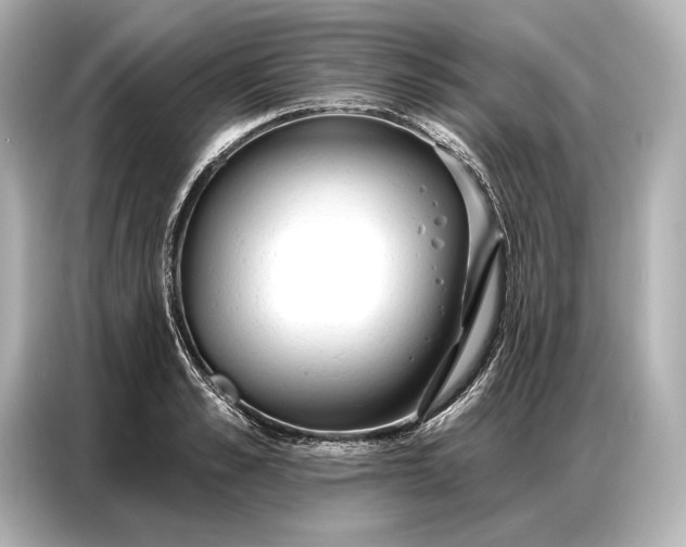 X0000086880989200704300933