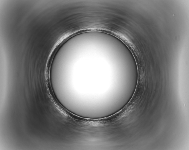 X0000086880990200704300933