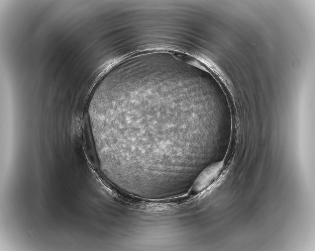 X0000086880993200704300933