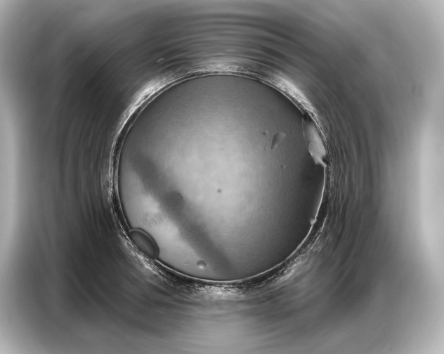 X0000086880994200704300933