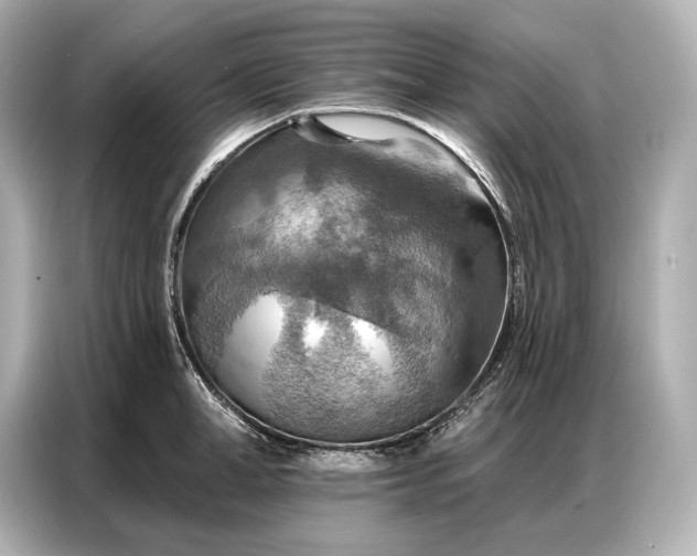 X0000086880998200704300933