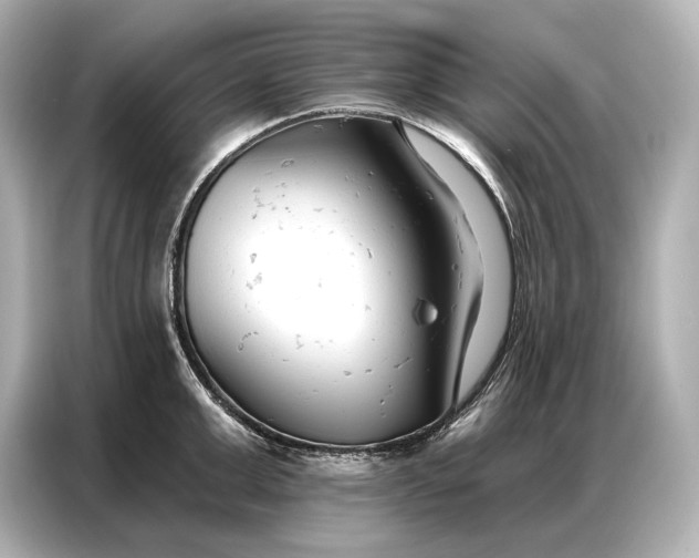 X0000086880999200704300933