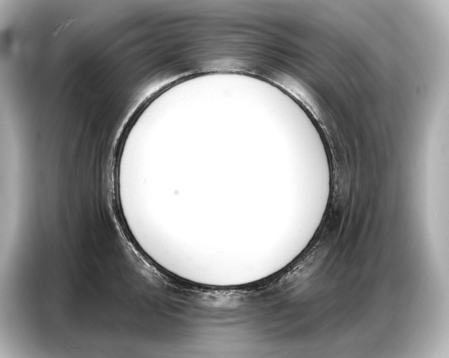 X0000086881000200704300933