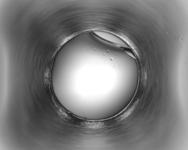 X0000086881001200704300933