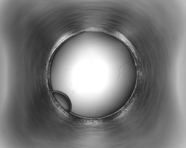 X0000086881002200704300933