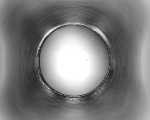 X0000086881004200704300933