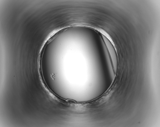 X0000086881005200704300933