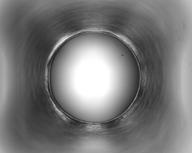 X0000086881006200704300933